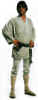 luke-detail.jpg (75330 bytes)